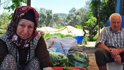 Ramazan Doğru'nun babası: Suçu varsa cezasını çeksin