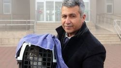 Duruşmaya kedisiyle gitti