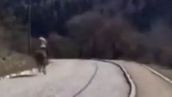 Atın kontrolünü kaybeden gencin korku dolu anları