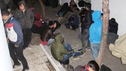 Tekirdağ'da 16 düzensiz göçmen yakalandı
