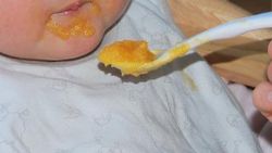 Fransa marketlerinde bakterili mama satıldı