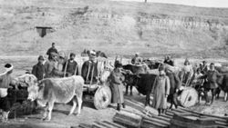 Çanakkale Deniz Zaferi'nin 99'uncu yıldönümü