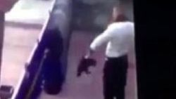 Hayvana şiddet, insana şiddetin habercisi olabilir