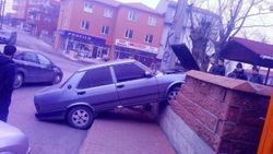 Zonguldak'ta bir Şahin düz duvara tırmandı