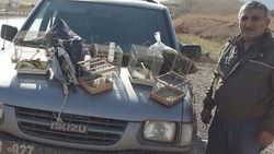 Karabük'te saka kuşu avlayana para cezası