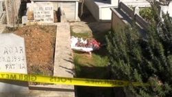 İstanbul’da poşete sarılı bebek cesedi bulundu