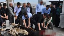 Şanlıurfa'da barış için kan akıtıldı
