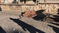 Boşanmak isteyen eşini ve kızını sokak ortasında öldürdü