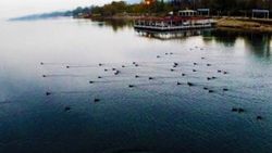 Yağışlar Sapanca Gölü'ne yaradı