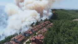 Lüks villaların yanında küle dönen alan yeniden yeşillendiriliyor