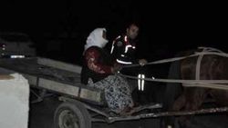 Hırsızlar at arabasıyla gözaltına alındı