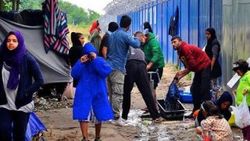 AP'den Macaristan'a inceleme çağrısı