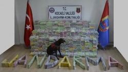 Kocaeli'de 800 kilo kokain ele geçirildi