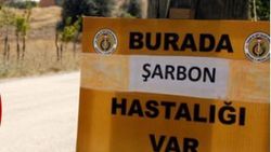 Sağlık Bakanlığı: Şarbon hastalığı kontrol altında