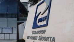 TMSF, 1,6 milyar liralık döviz mevduatını TL'ye çevirecek