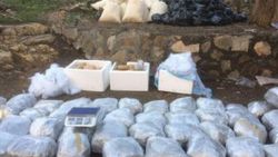 Diyarbakır ve Bingöl'deki operasyonlarda ele geçirilenler