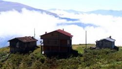 Yayla sakinleri ahşaba dönme kararı aldı