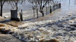 Edirne'de taşkın nedeniyle yüzlerce kişi tahliye edilecek