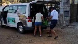 Fethiye'de nefes almakta zorlanan carettaya suni teneffüs