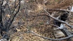 Bingöl'de PKK'ya ait 13 sığınak ve 4 mevzi bulundu