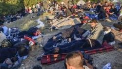 Edirne'ye giden Suriyeliler Mardin'e gönderilecek