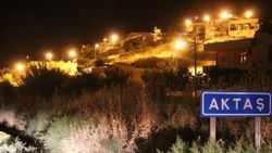 Siirt'teki köyde zehirlenme klor gazı yüzünden