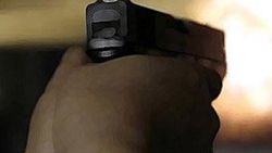 Köpeklerin kavgasına sahipleri karıştı: 2 yaralı
