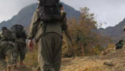 Şırnak'ta 2 terörist öldürüldü