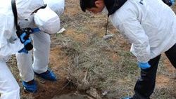 Sivas'ta 4 aydır kayıp kadın rögar çukurunda ölü bulundu