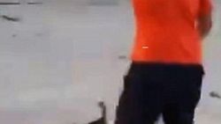 İspanya'da hayvanseverleri kızdıran görüntü