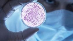 Antibiyotiklere dirençli süper bakteri yayılıyor