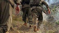 Diyarbakır'da PKK'lılar yol kesti: 1 yaralı