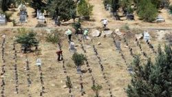 Suruç bombacı kimsesizler mezarlığında gömüldü