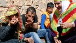 Öcalan'ın doğum günü Ömerli köyünde kutlandı