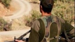 Siirt'te terör operasyonu