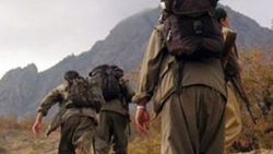 PKK'nın yöneticisi Muş'ta yakalandı