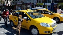 İstanbul'da taksi ve minibüslere denetim