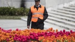 Taksim'de lale nöbeti