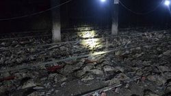 Düzce'de tavuk çiftliğinde yangın