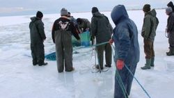 Tekneleri batan çift buz kütlesine çıkarak kurtuldu