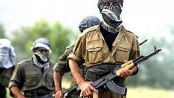 Hakkari'de 2 terörist teslim oldu
