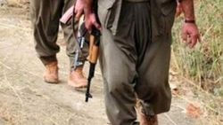 Diyarbakır Valiliği: PKK'nın suikastçıları yakalandı