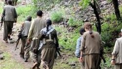 Şırnak'ta 8 terörist teslim oldu