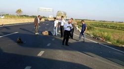 Tırla çarpışan motosiklet sürücüsü kurtarılamadı