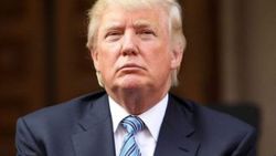 Central Park'ta Trump için yapılmış mezar taşı bulundu