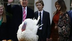 Trump iki hindinin yaşamını bağışladı