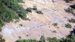 Tunceli'de 1 ton patlayıcı ele geçirildi