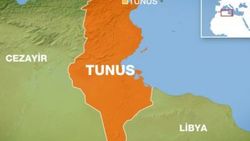 Tunus'ta askeri eğitim uçağı düştü: 2 ölü