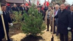 Yalova'da ağaç kesen Vefa Salman Dağıstan'da ağaç dikti