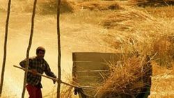 Çiftçinin borcu 1 yıl ertelenecek
